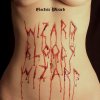 Electric-Wizard-Wizard-Bloody-Wizard-Announcement-Banner.jpg