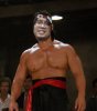 bolo-yeung-bloodsport_8880_w620.jpg