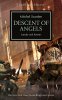 descent-of-angels-9781849708142_hr.jpg