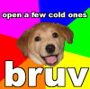 advicedogbruv (by Ross).png