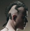 Mohawk-lizard-haircut_1.jpg