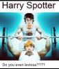 harry-spotter-do-you-even-leviosa-um-why-tho-39540925.png