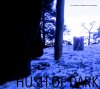 Hush of Dark.jpg