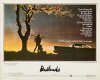 badlands-american-poster-2.jpeg