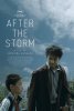 After_the_Storm-858x1280.jpg