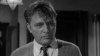 whos_afraid_richard_burton_4.jpg