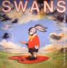 swans.jpg