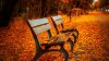 autumn_bench-HD.jpg