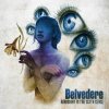 Belvedere-HindsightistheSixthSense-cover2021.jpg