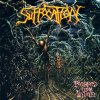 SUFFOCATION-Pierced-from-Within.jpg