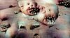 baby with 238 teeth david lynch.jpg