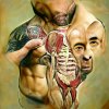 joe rogan anatomical pieces.jpg