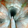 what you seek lies deep inside the vaginal tunnel.jpg
