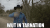 wot in tarnation.gif