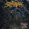 Suffocation - Pierced From Within.jpg