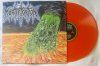 Mortification - ST Orange Vinyl Front.jpg