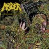 Molder - Engrossed in Decay.jpg