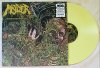 Molder - Engrossed in Decay Yellow-White Vinyl Front.jpg