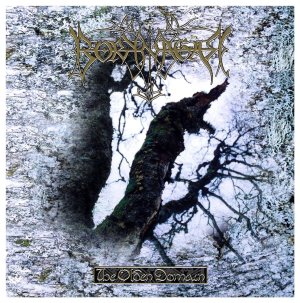 Borknagar - The Olden Domain.jpg