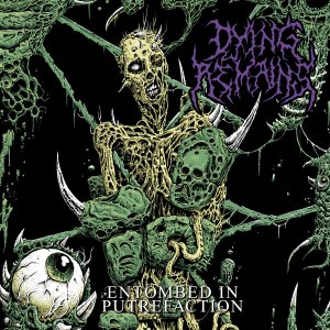 Dying Remains - Entombed in Putrefaction.jpg