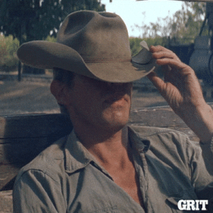 giphy (1).gif