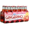 gingerino-recoaro-cl10-cp-vp.jpg