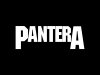 pantera_logo_wallpaper.jpg