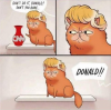 trumpcat.png