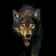 Benjawolf