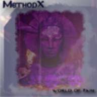MethodX