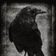 Black_Bird