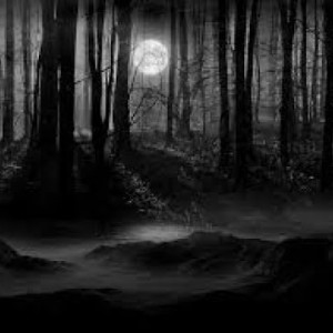 Halloween songs 2020 Dark forest soundtrack - YouTube
