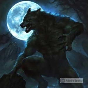 The skin of the wolf  KillAdvizeR