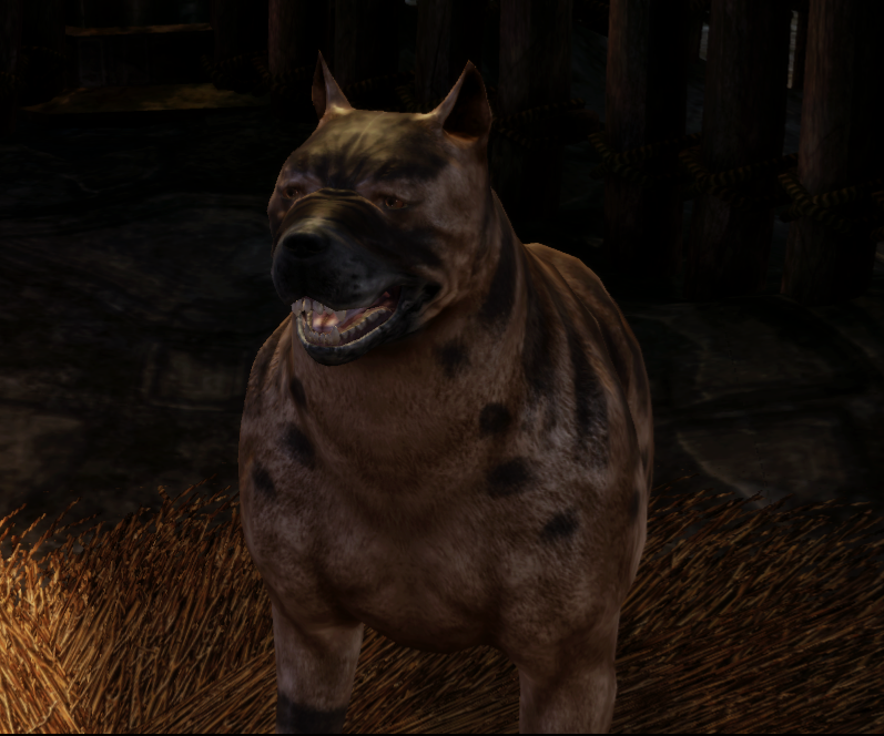 The_Mabari_Hound.png