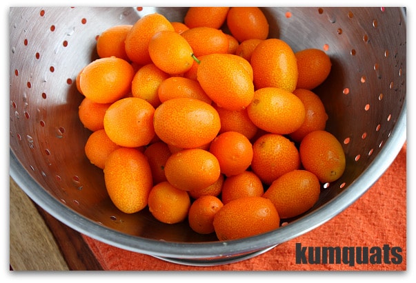 Kumquat-Marmalade-1.jpg