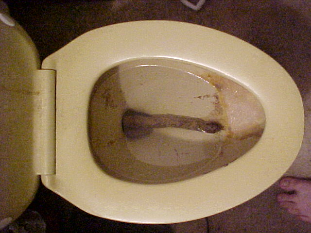turd.jpg