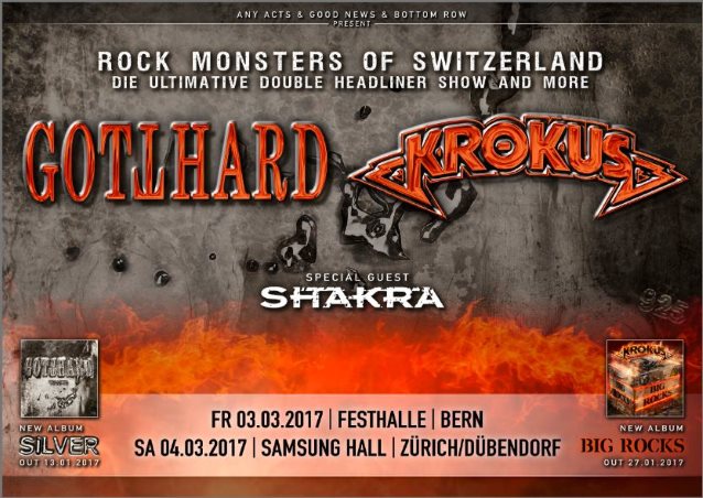 rockmonstersofswitzerlandmarch2017poster.jpg