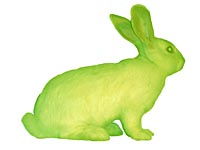 bunny_200x150.jpg