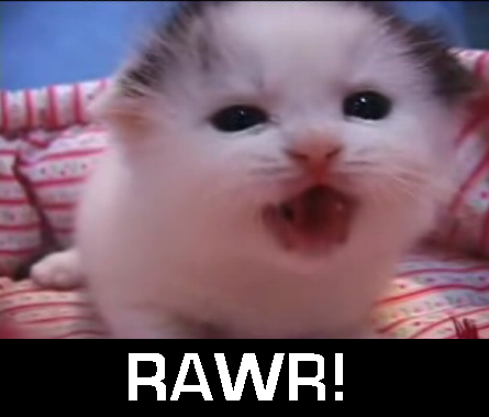 rawr9wb1.png