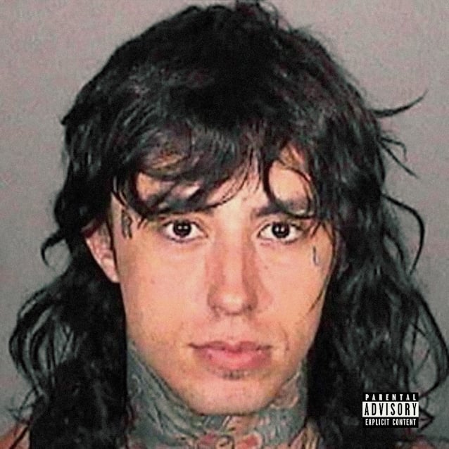 fallinginreversepopularcd.jpg