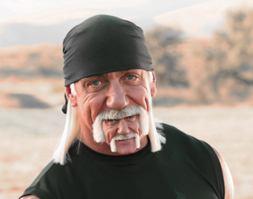 Hulk-Hogan-Funny-Triple-Face.png