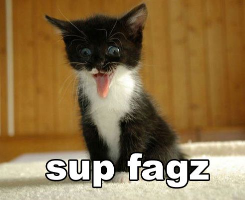 sup_fagz_cat.jpg