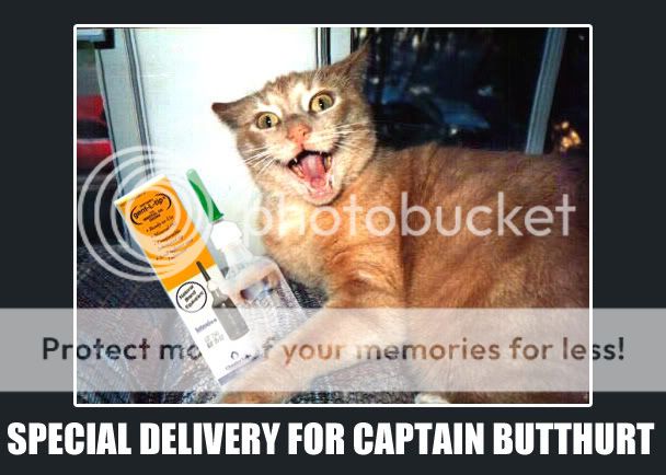 Butthurt_delivery_cat.jpg
