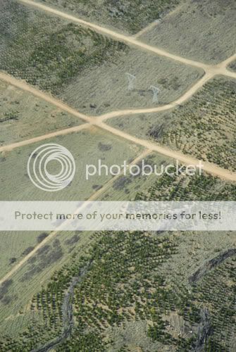 Eve-aerial-photos0811.jpg