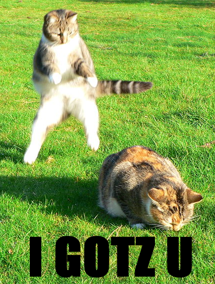 April_Fools_Lolcats.png