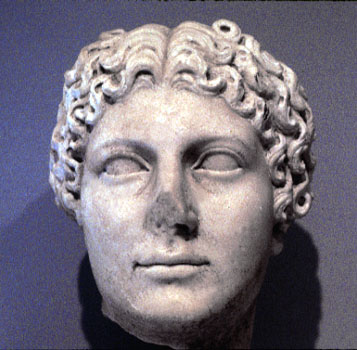 agrippinilla2.jpg