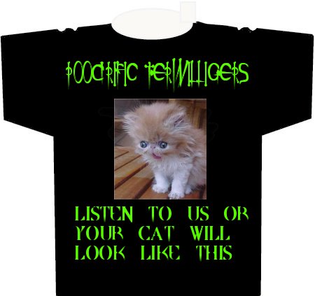 ptshirt.jpg