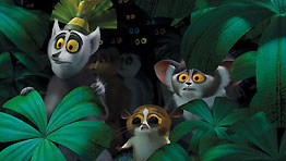 madagascar_lemur.jpg