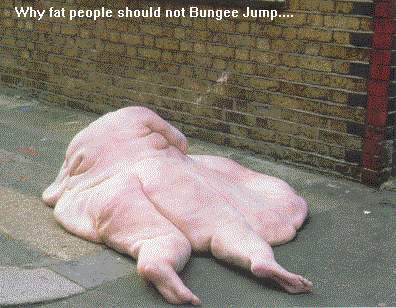 funny_pic_-_why_fat_people_shouldnt_bunjee.jpg