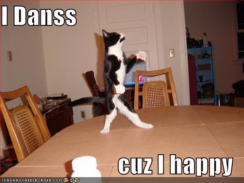 funny-pictures-dancing-cat.jpg